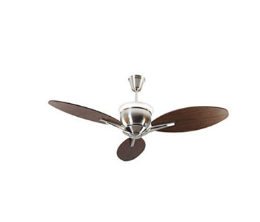 Havells Florina  Premium Underlight Ceiling Fan